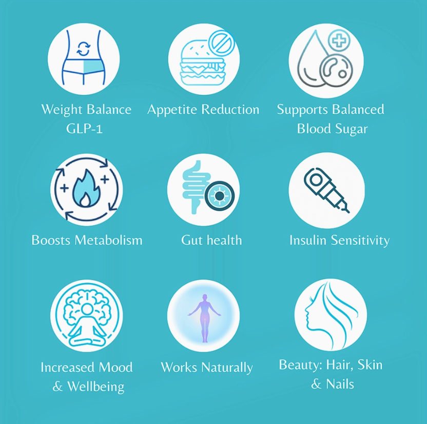 VitalWe Craving Control Powder — 30-Day Stick Packs