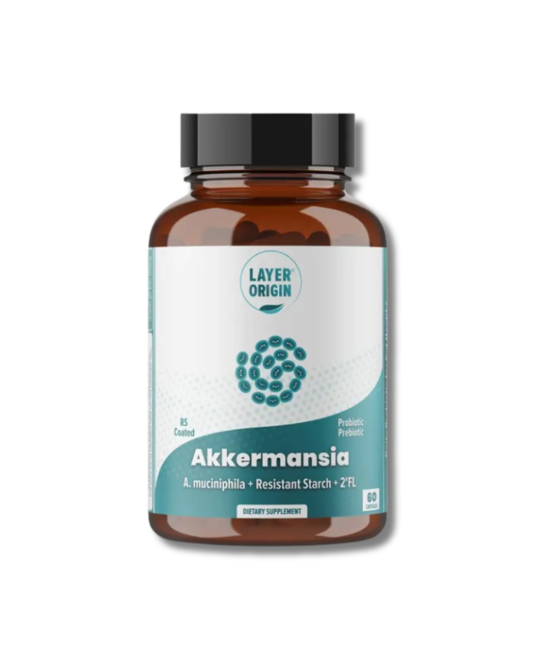 Akkermansia muciniphila Daily Probiotic with PureHMO Prebiotic for Weight Management