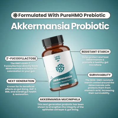 Akkermansia muciniphila Daily Probiotic with PureHMO Prebiotic for Weight Management