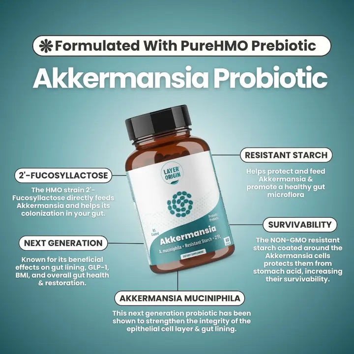 Akkermansia muciniphila Daily Probiotic with PureHMO Prebiotic for Weight Management